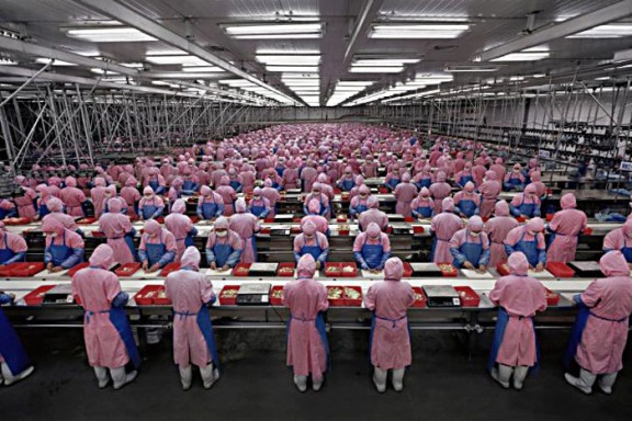 china factory 1.jpg