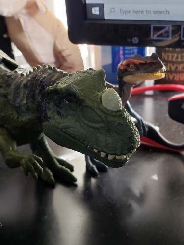 You never know what you'll find on my desk on any given week..jpg