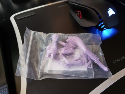 Excellent resin to turn into Sherri ... Queen of the Elves.jpg