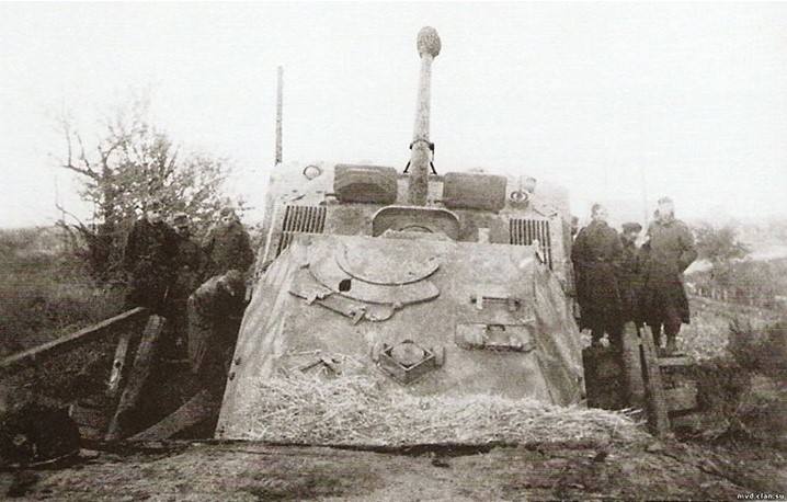 ferdinand.jpg
