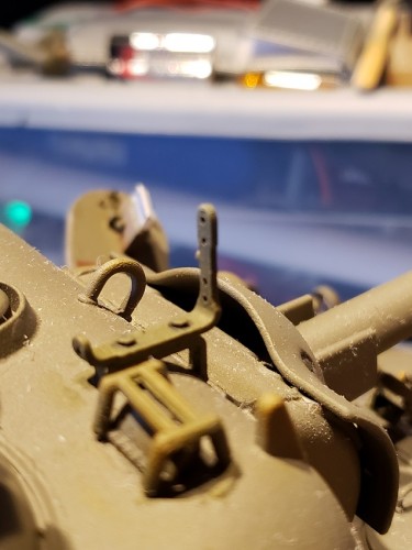 Closeup F.jpg