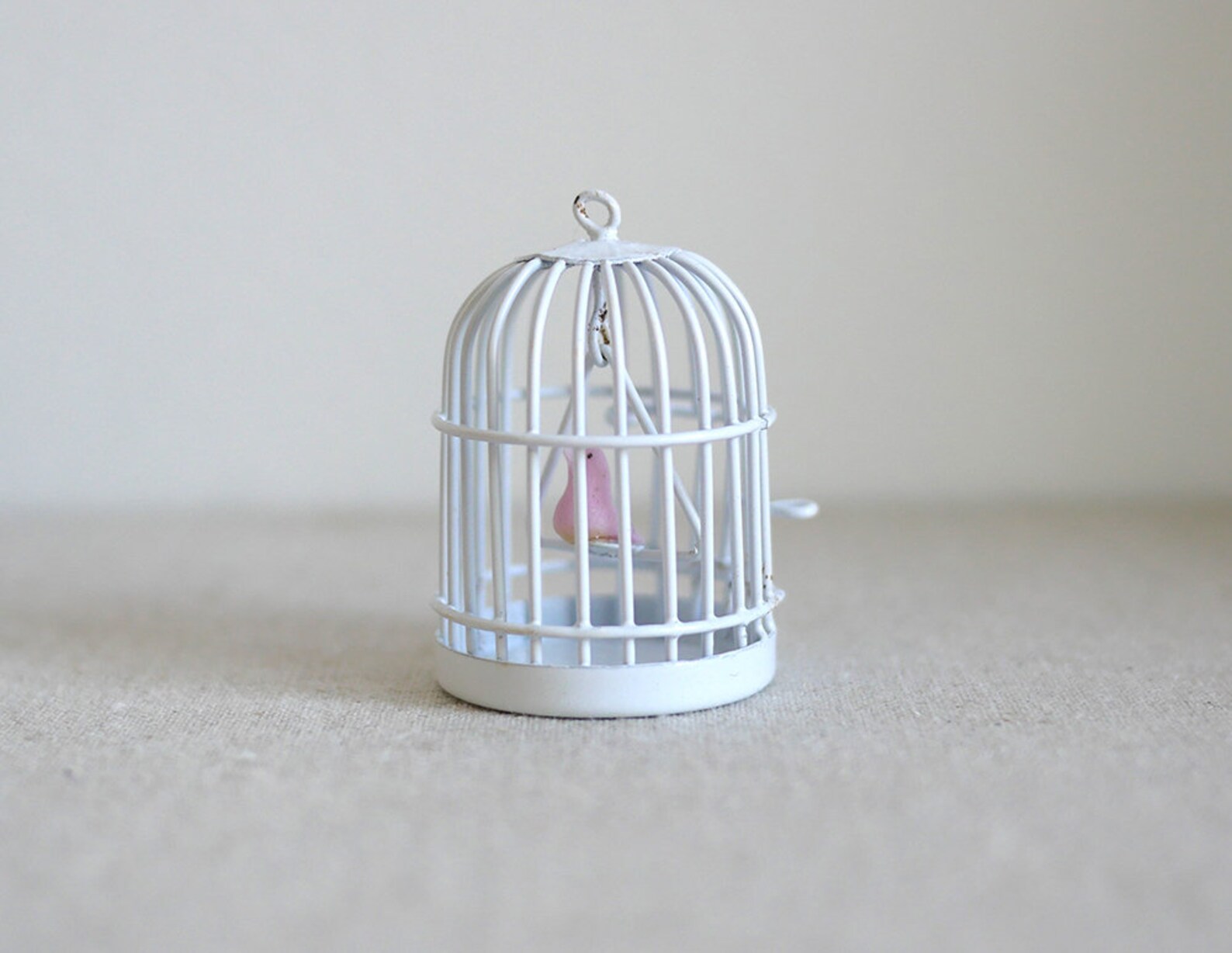birdcage.jpg
