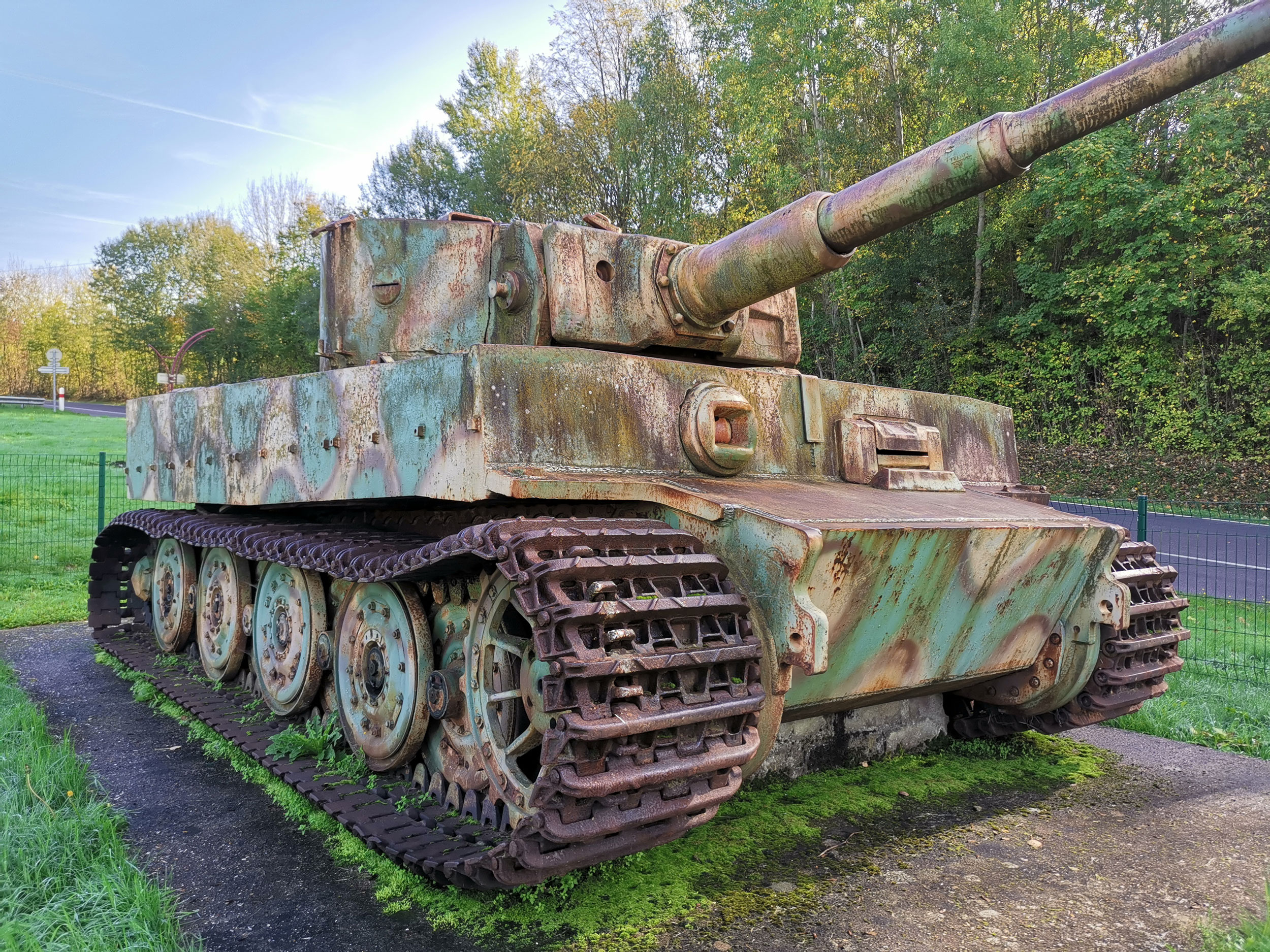 tigerI.jpg
