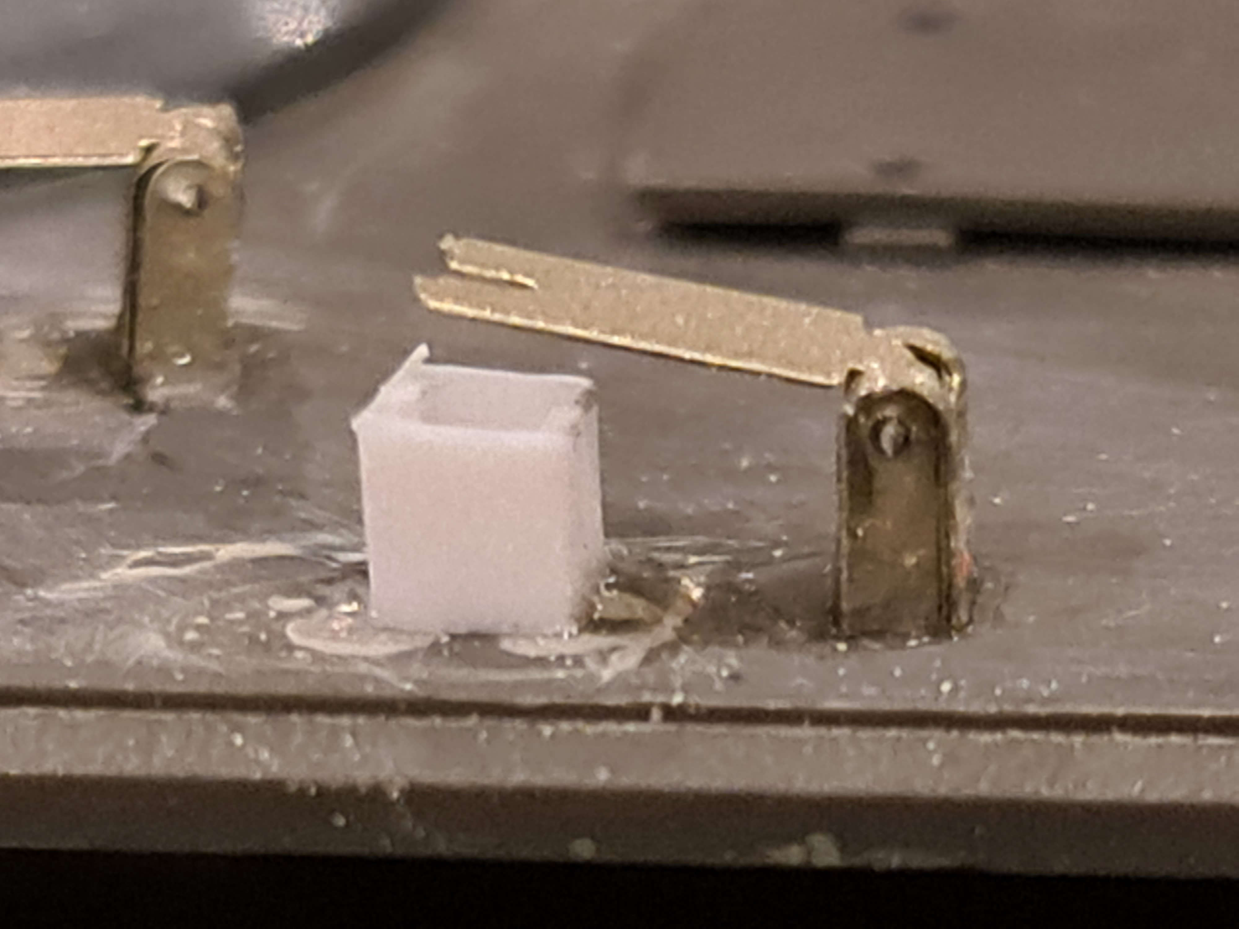 20240113_164016.jpg