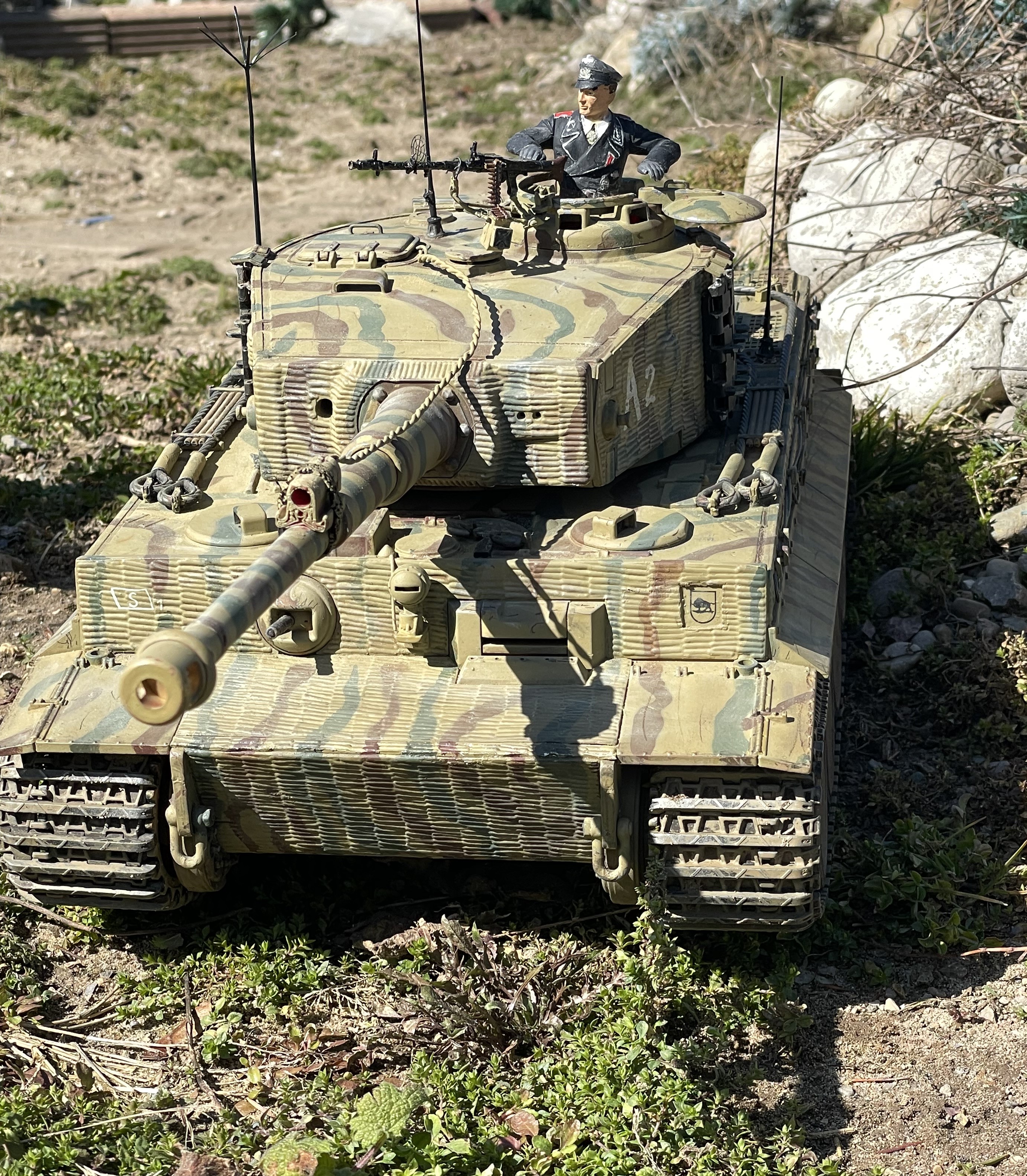 Tiger A2 front.jpg