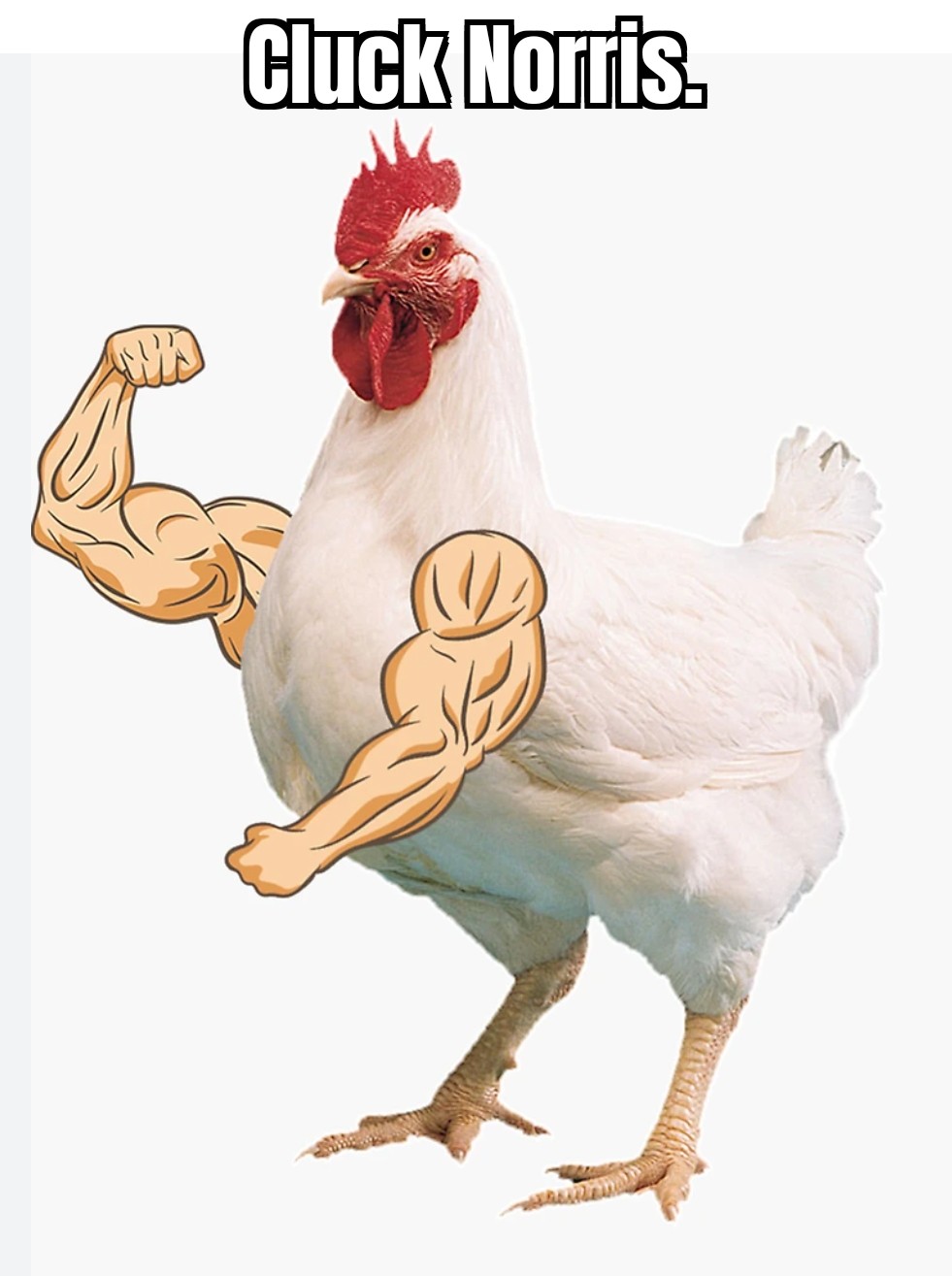 Cluck Norris.jpg