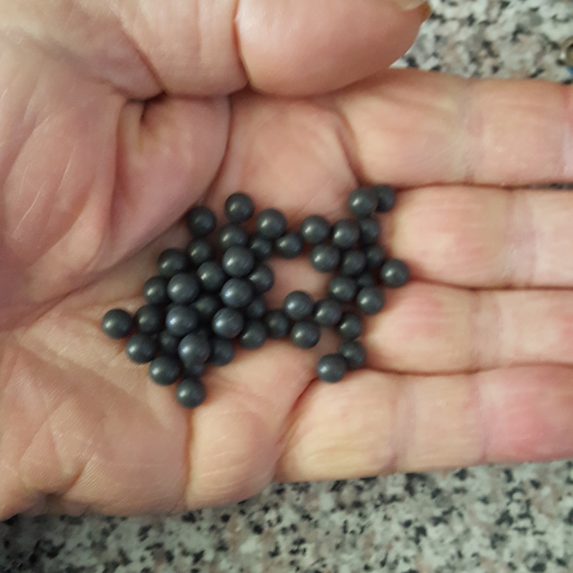 Hand full of black balls.jpg