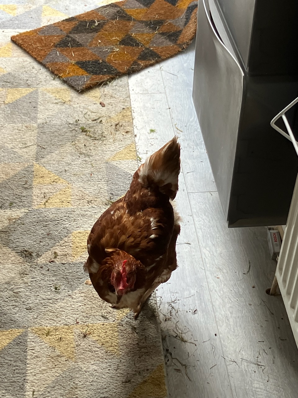 First venture into the house.
