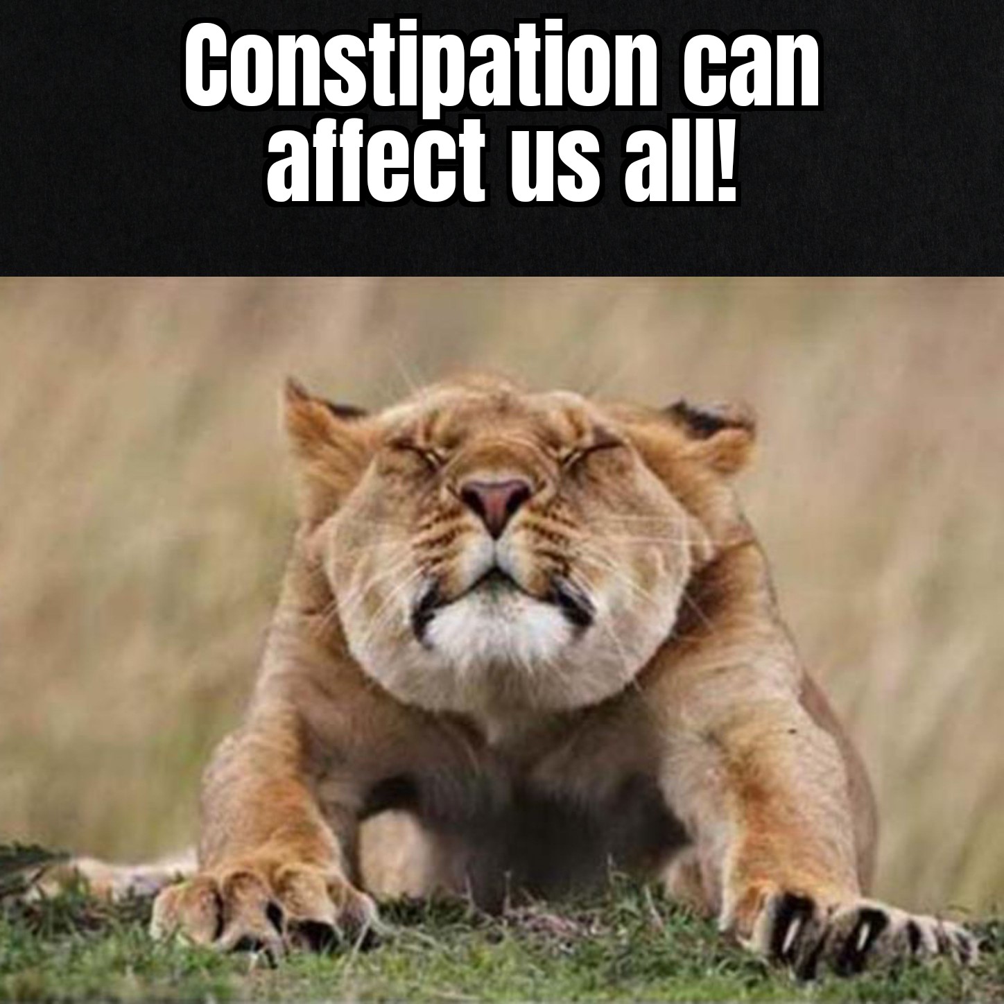 Constipation.jpg