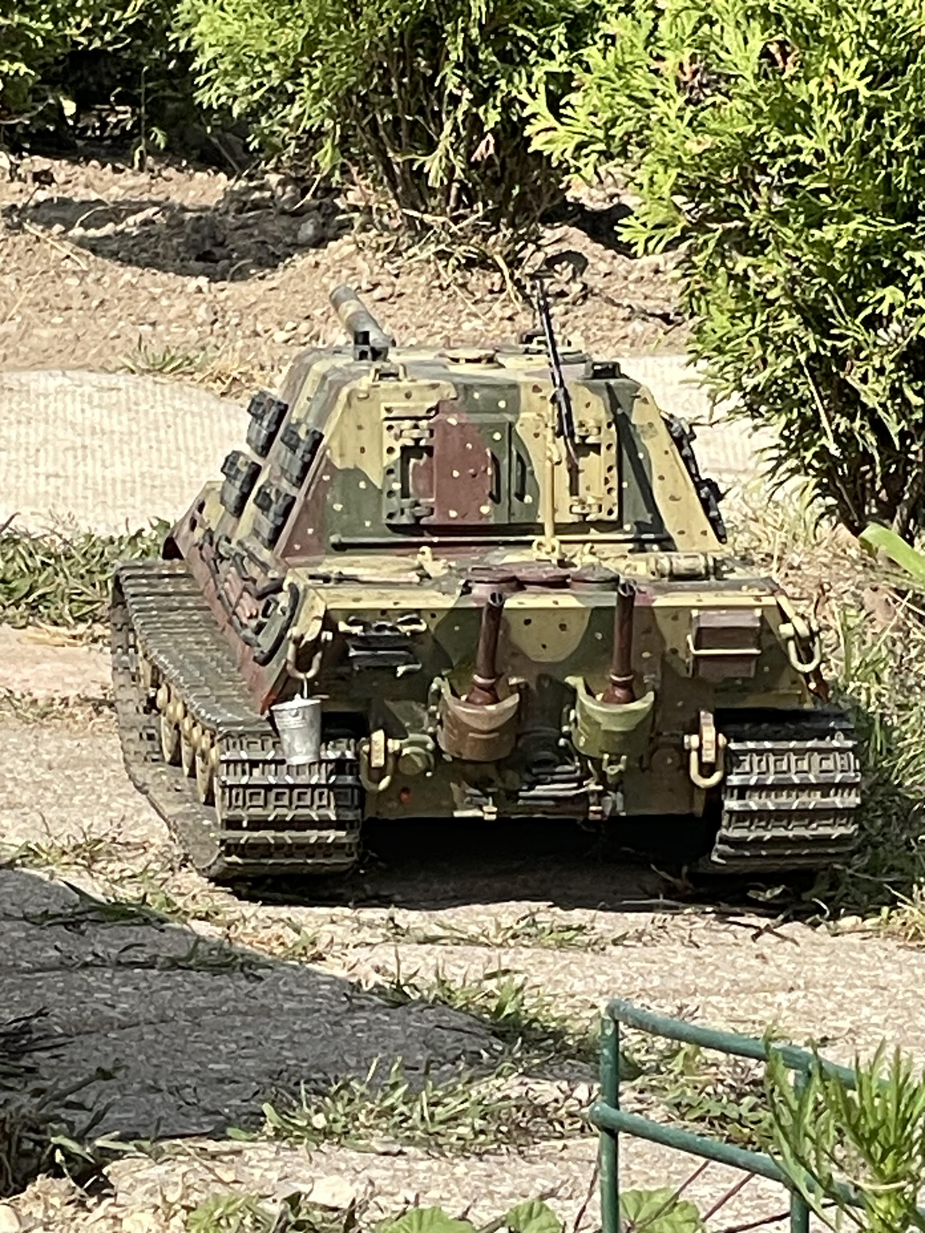 8245.jpg
