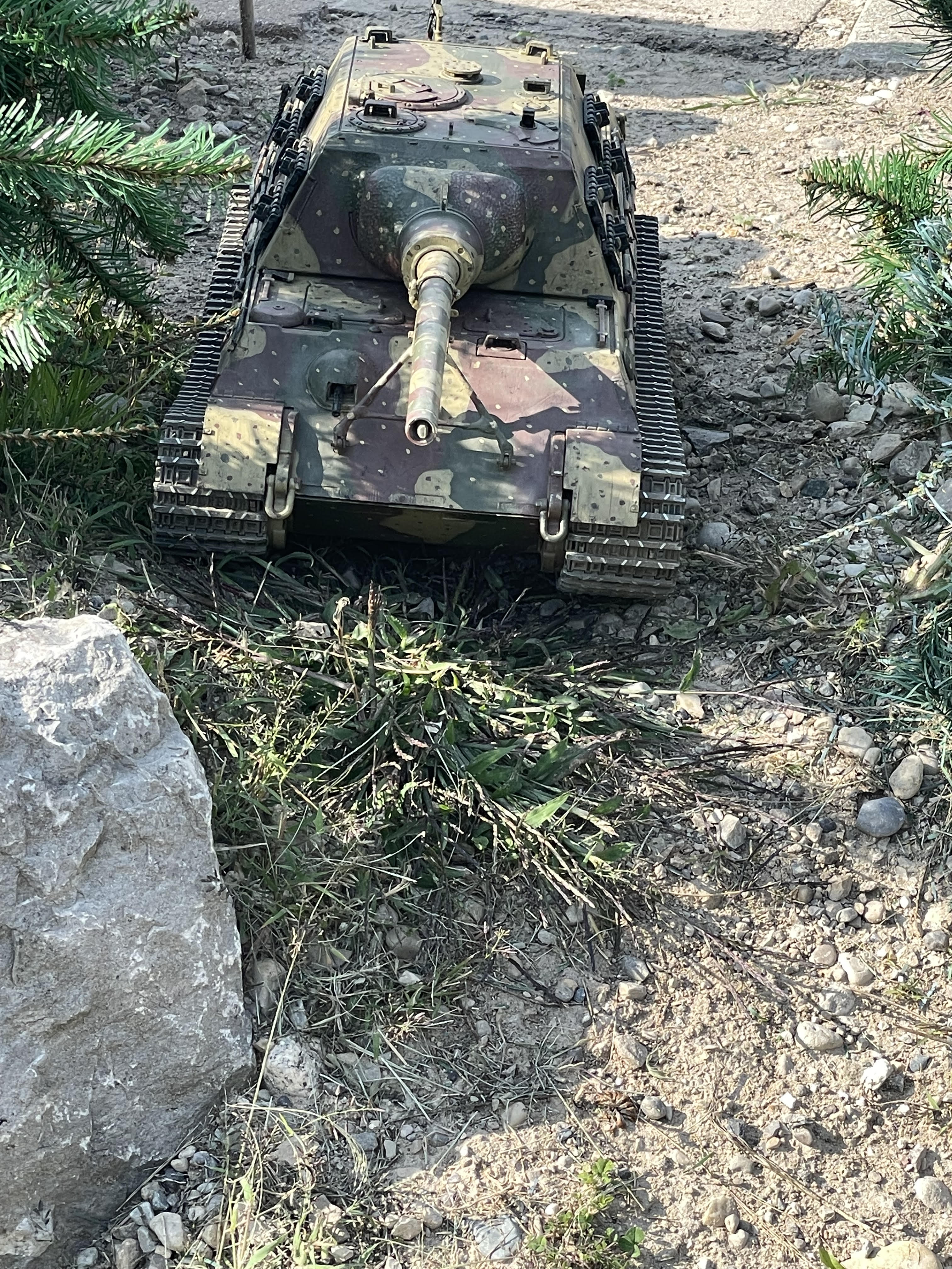 8246.jpg