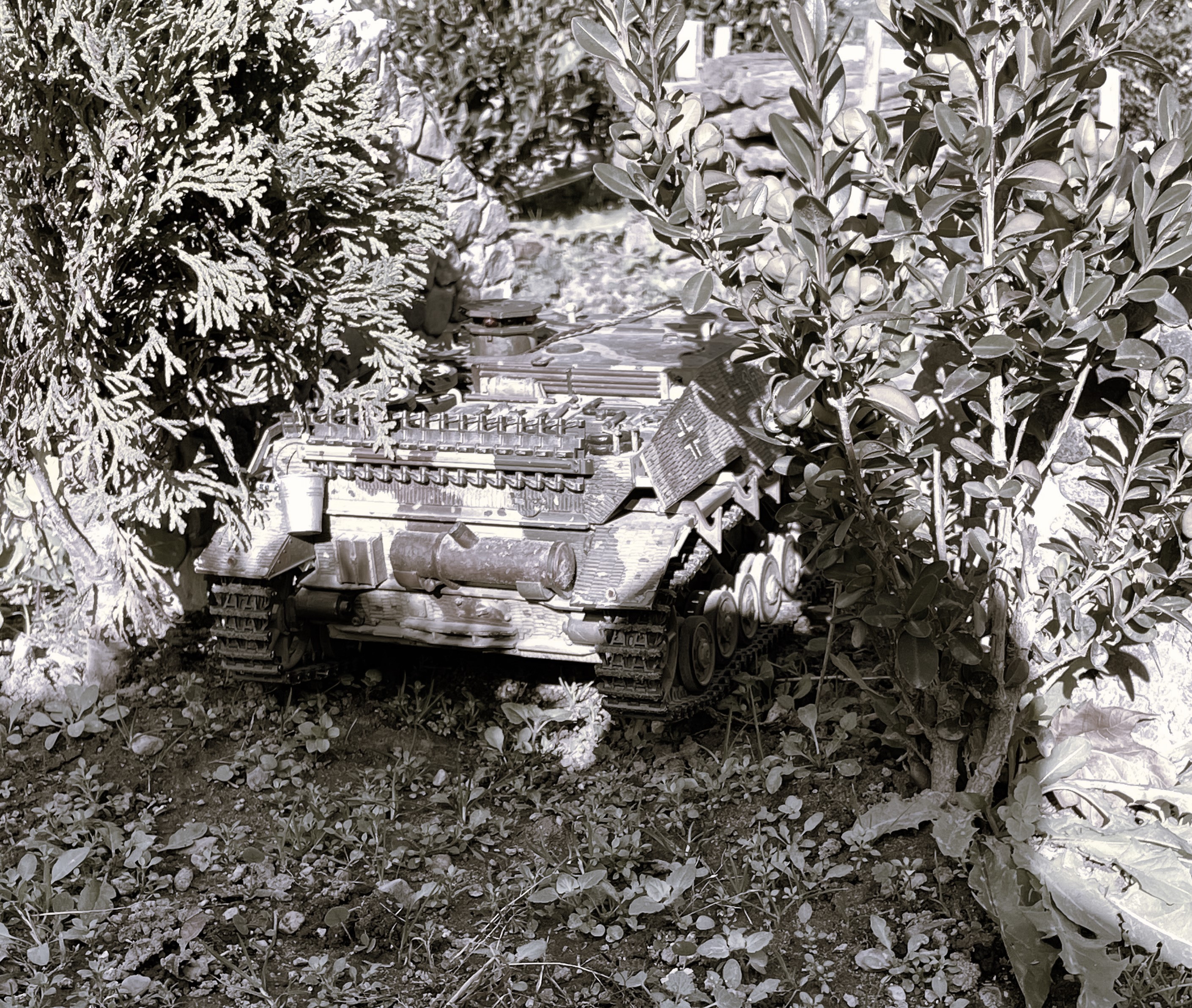 hinterhalt 1102 BW.jpg