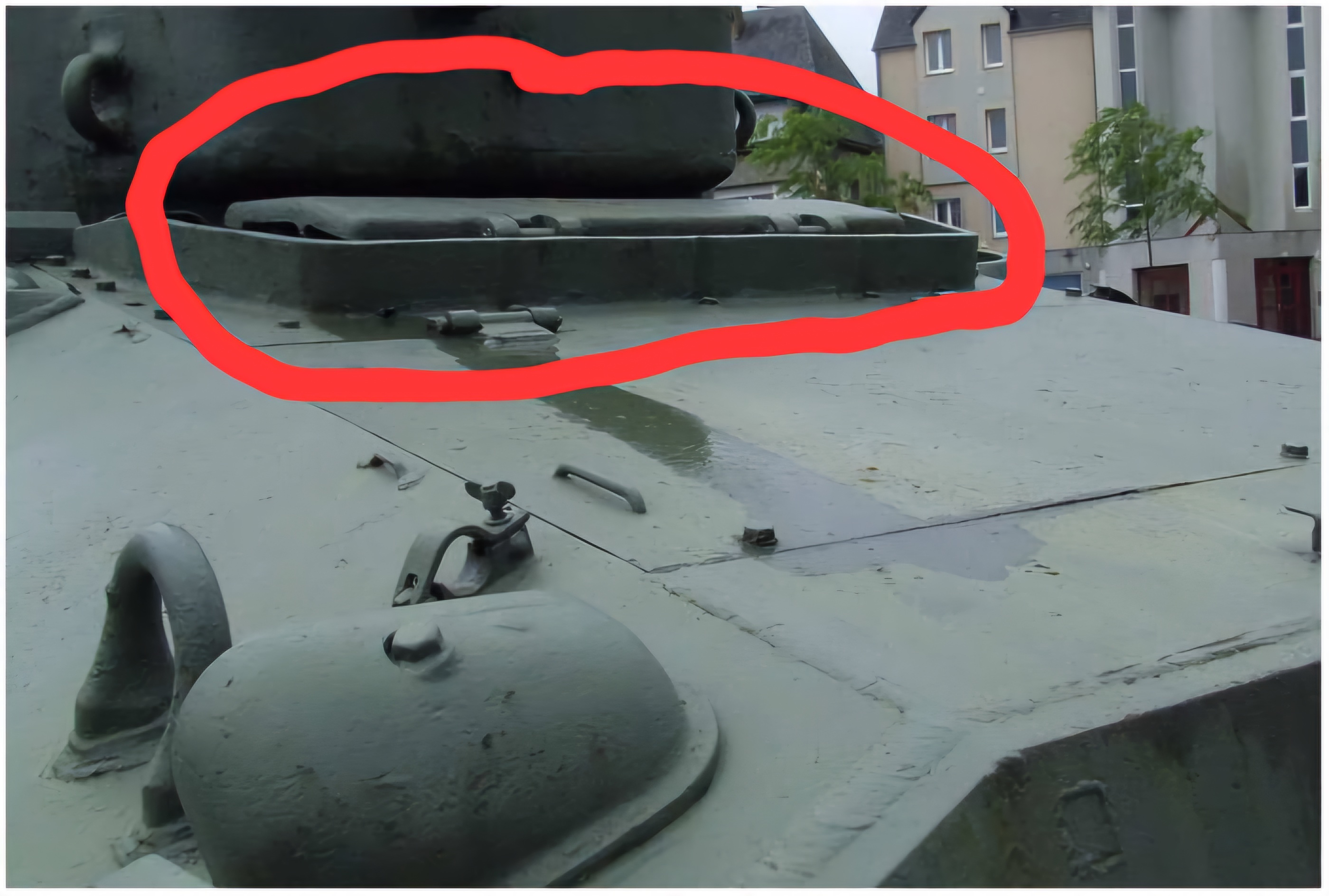 sher108.jpg