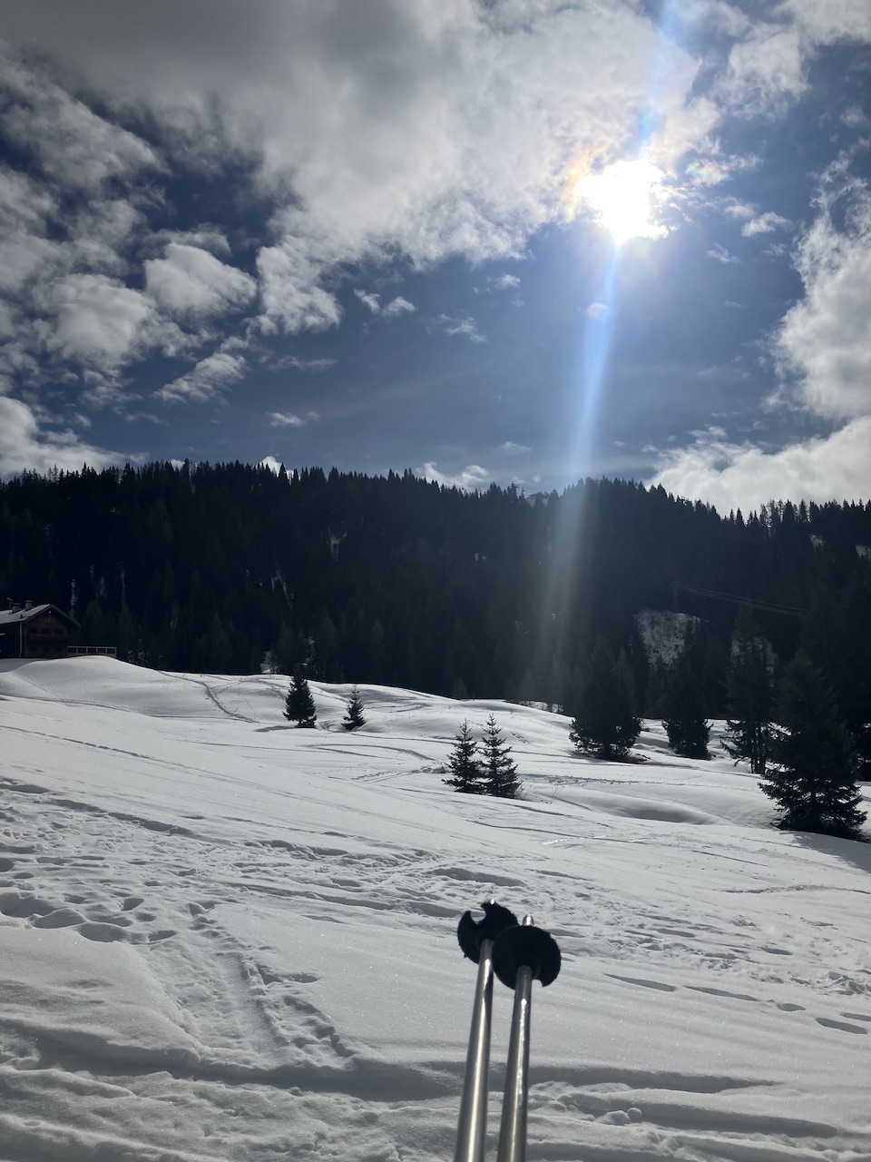 IMG_5684.jpeg