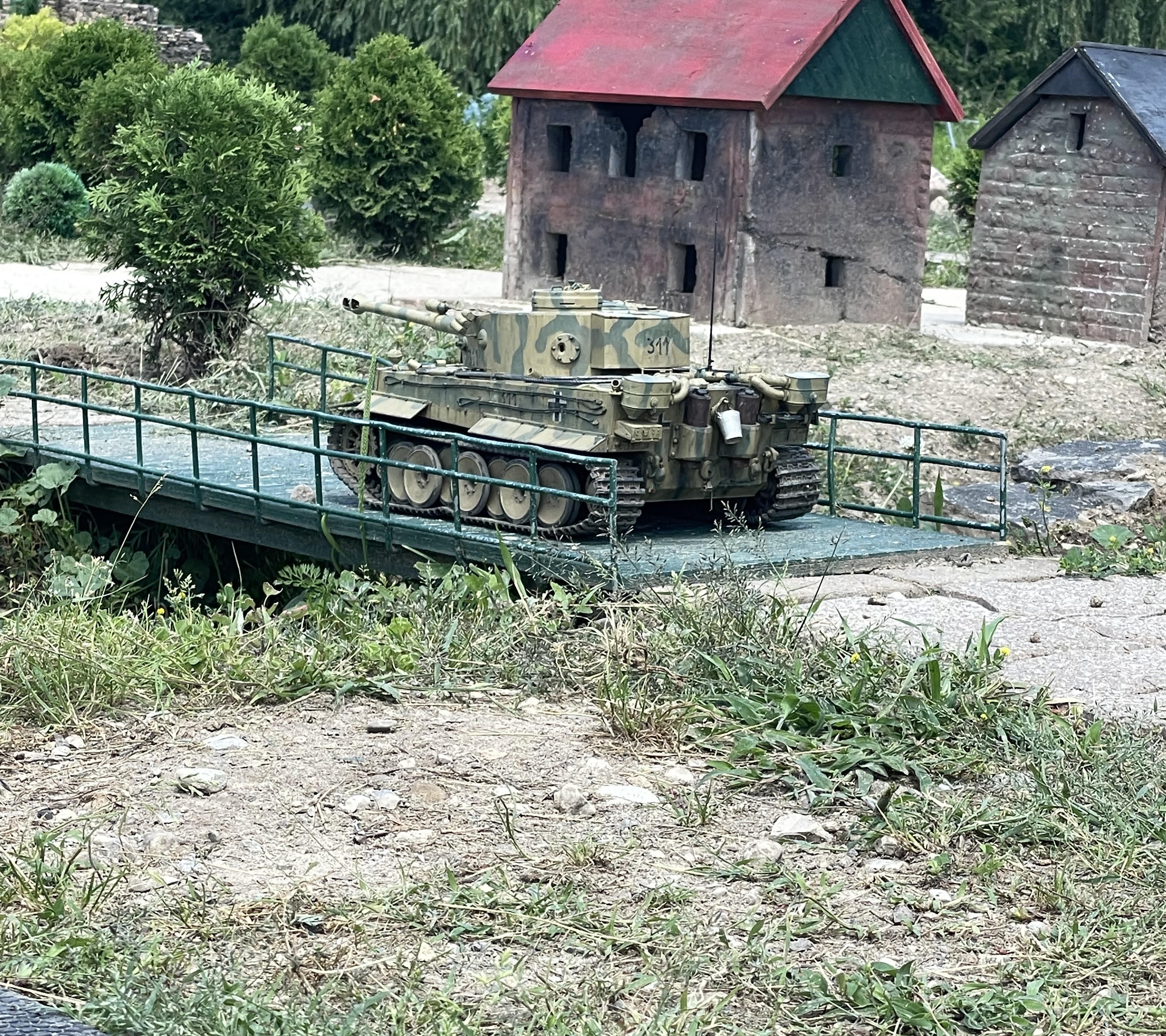 TamTi1.jpg