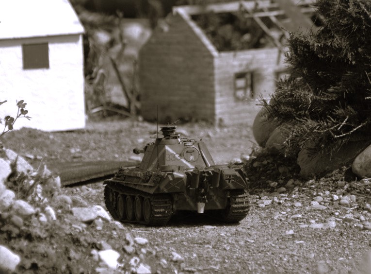 Panther333 bw rearview.jpg