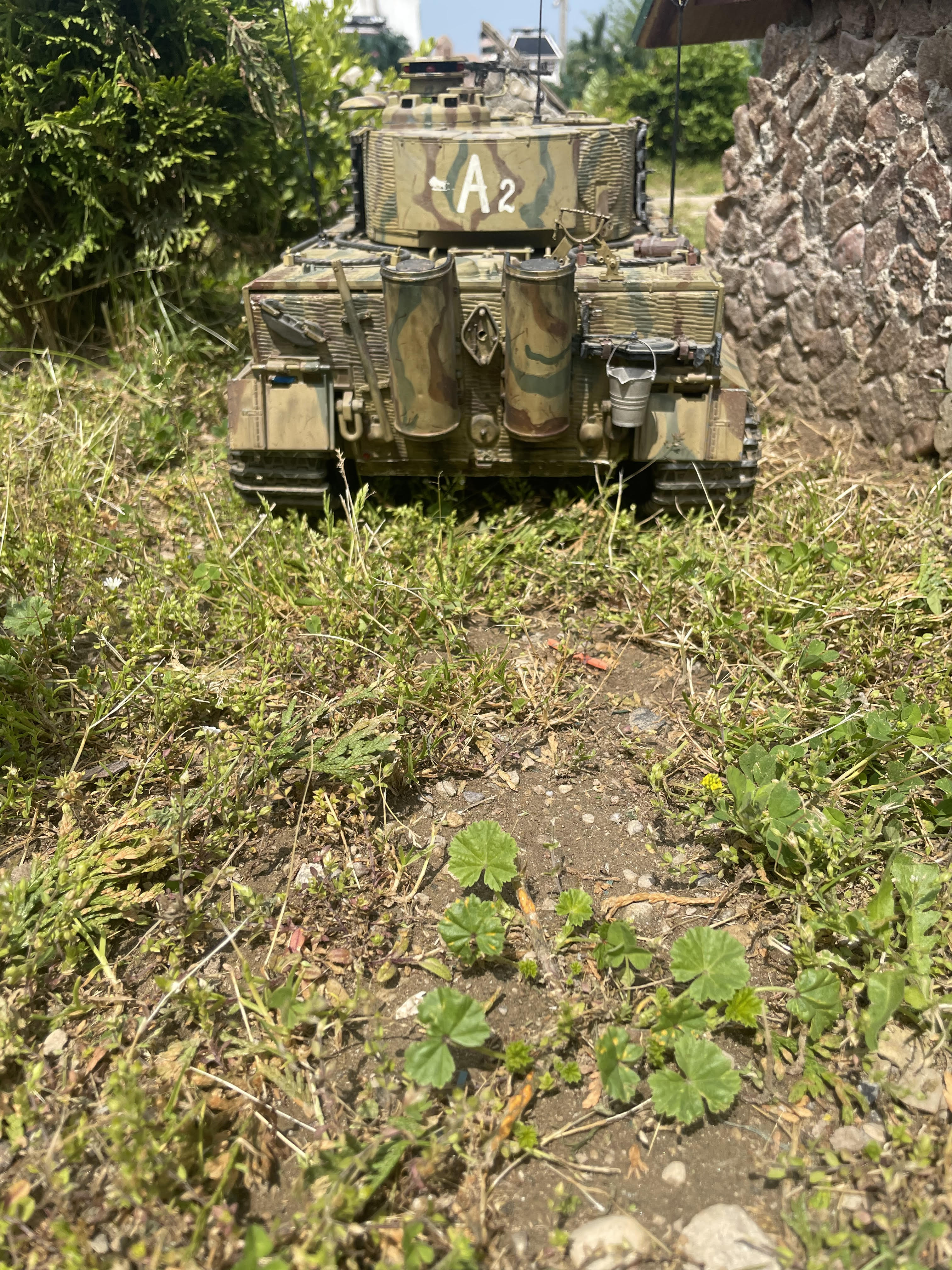 A2 rear close antennae.jpg