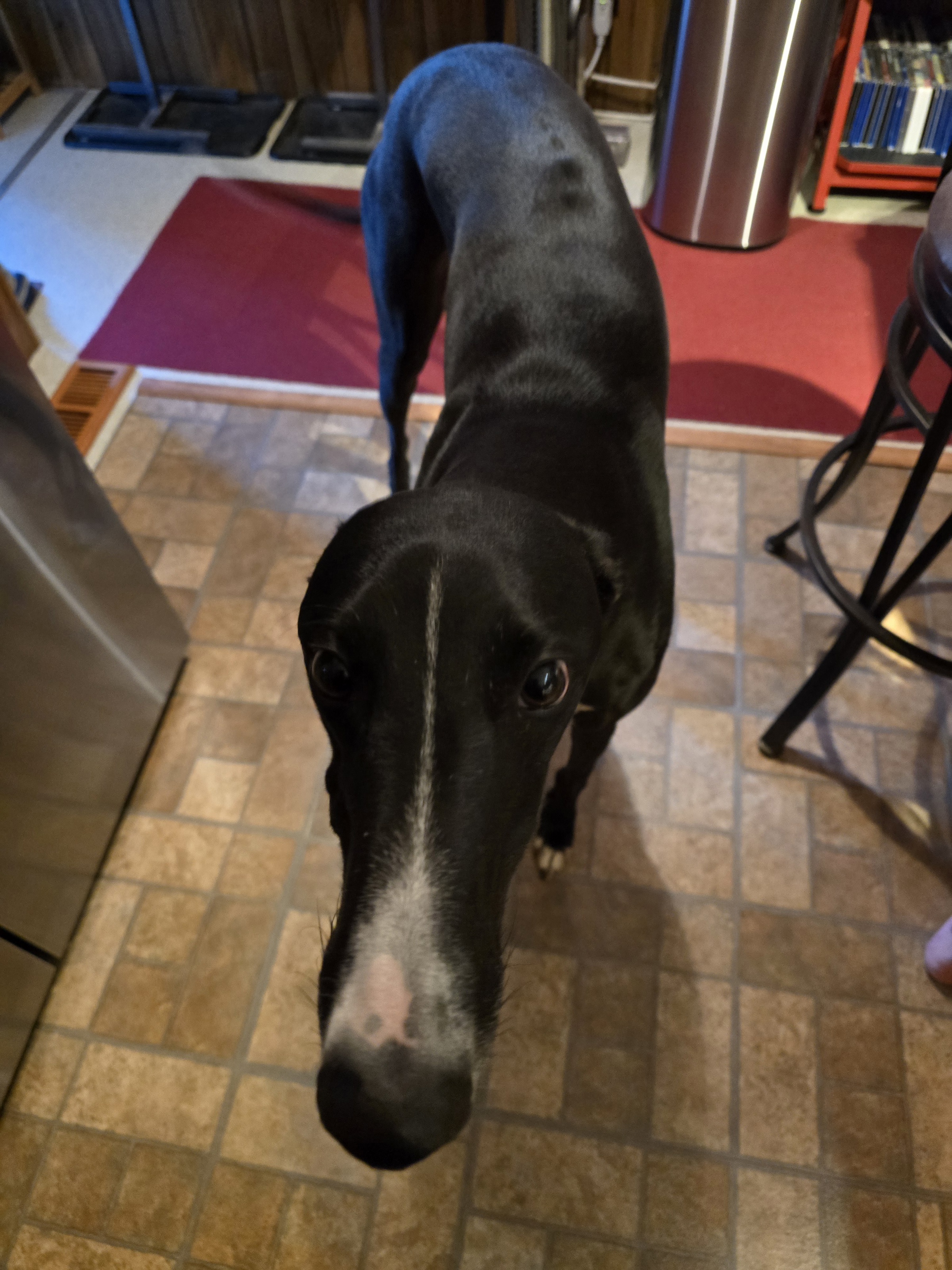 Luke comes to see what I am cursing on the Counter!