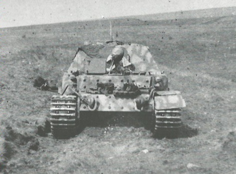 FERDINAND 722.jpg