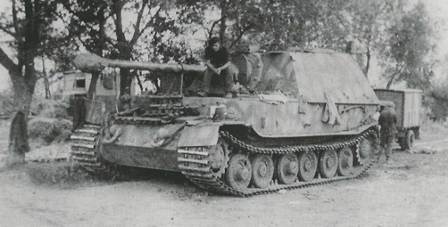FERDINAND 3.jpg