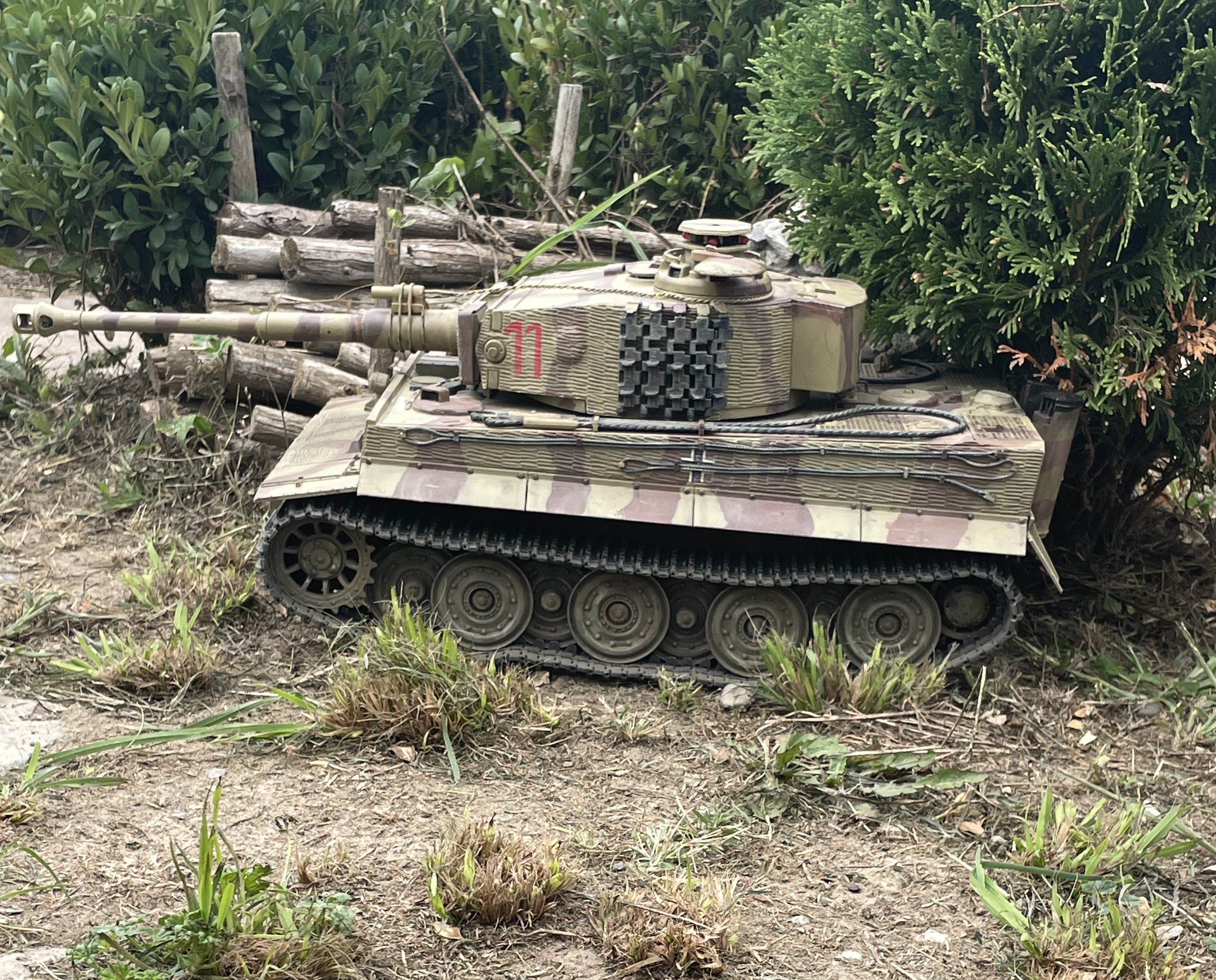 tiglog.jpg
