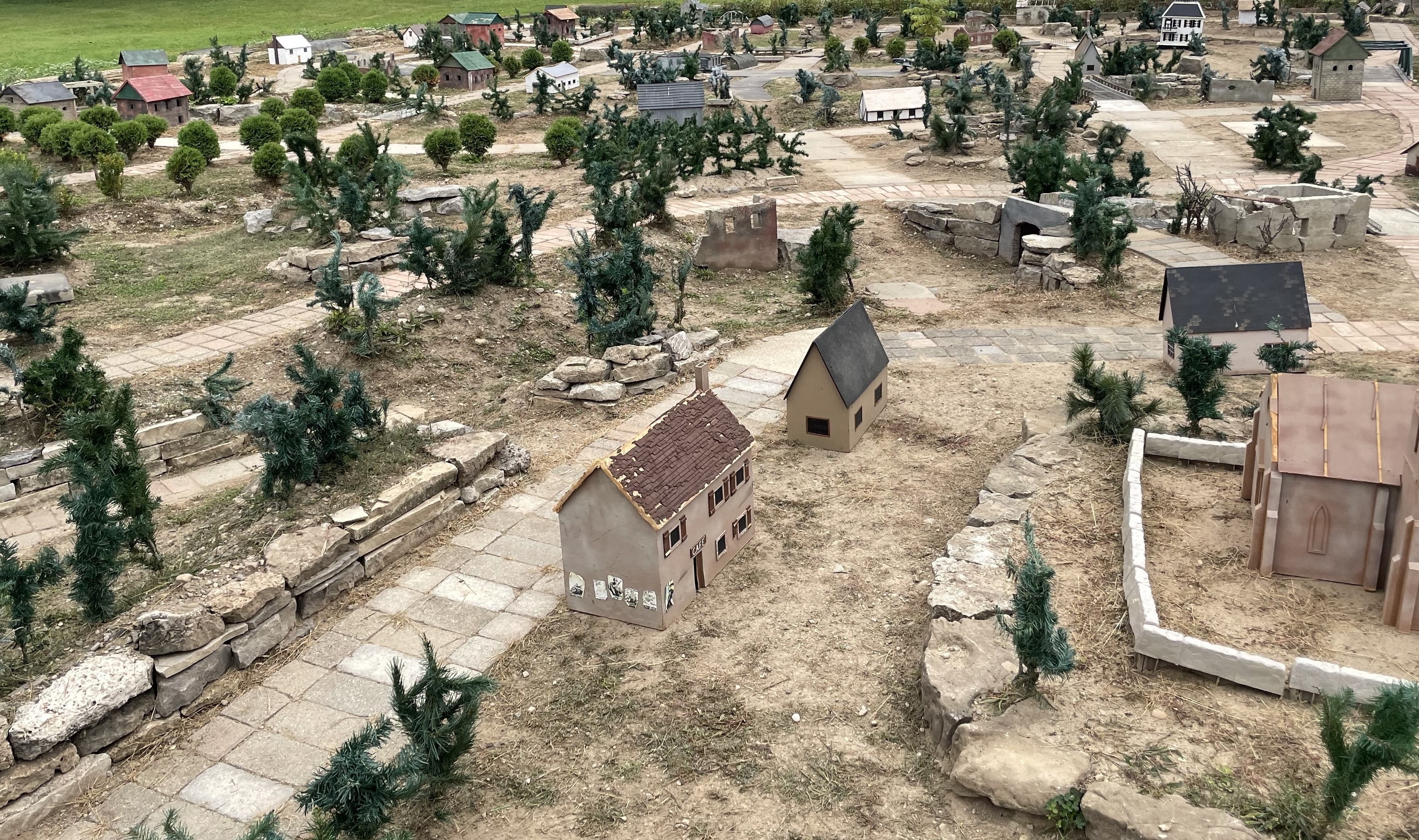 field 08232.jpg