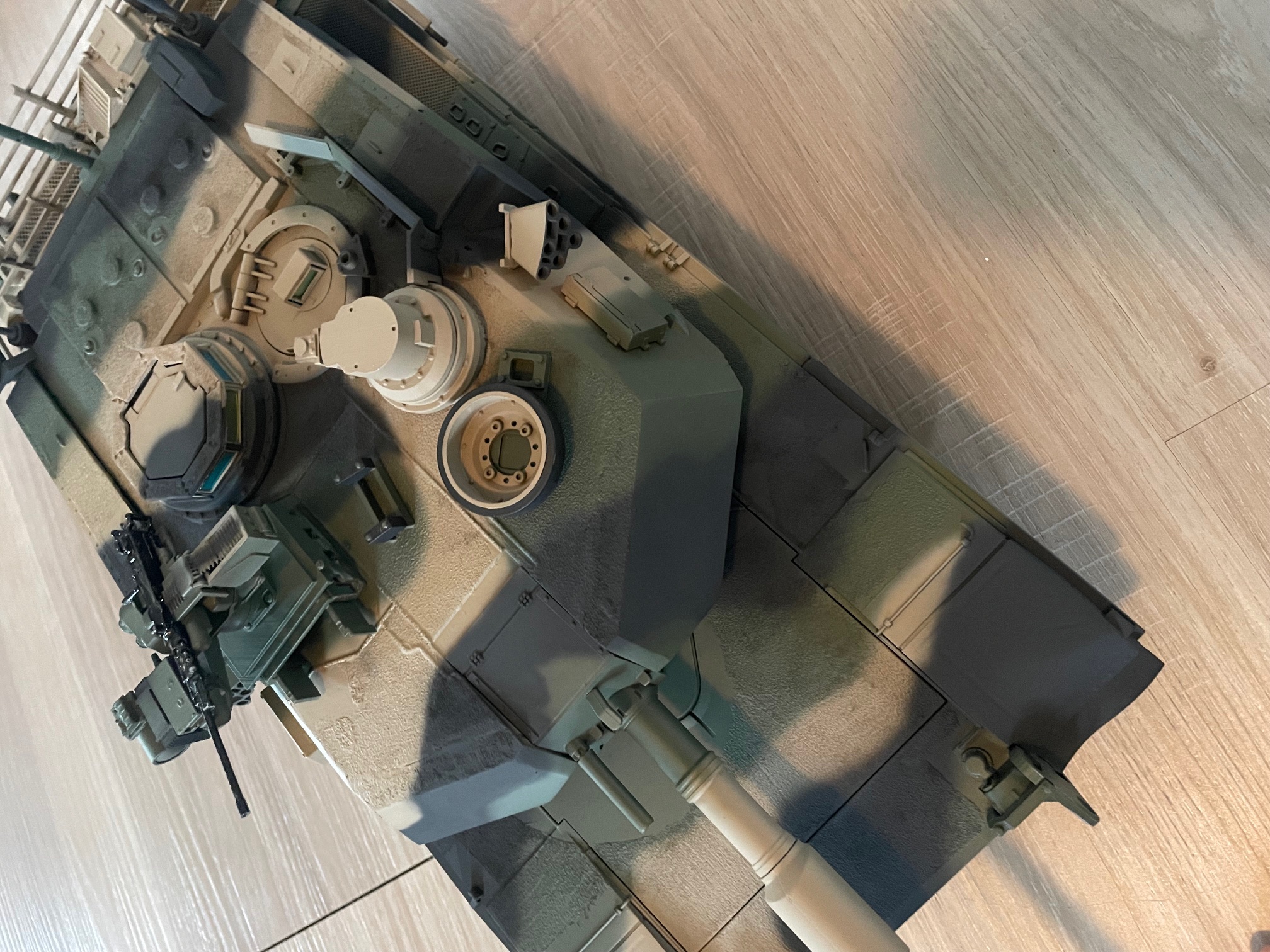 Camo Over view topdown.jpg
