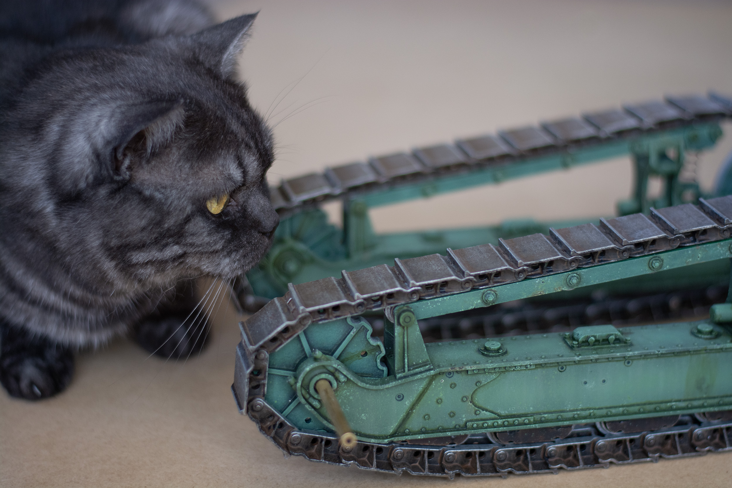 DSC_1666_P copy 2.jpg