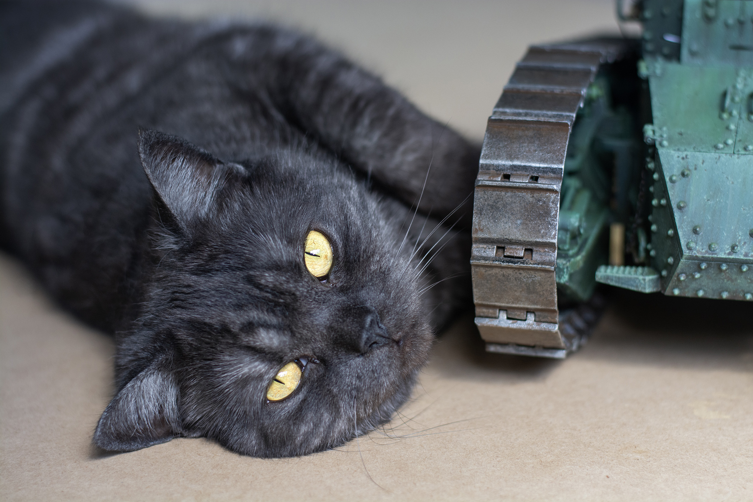 DSC_1797_P copy 2.jpg