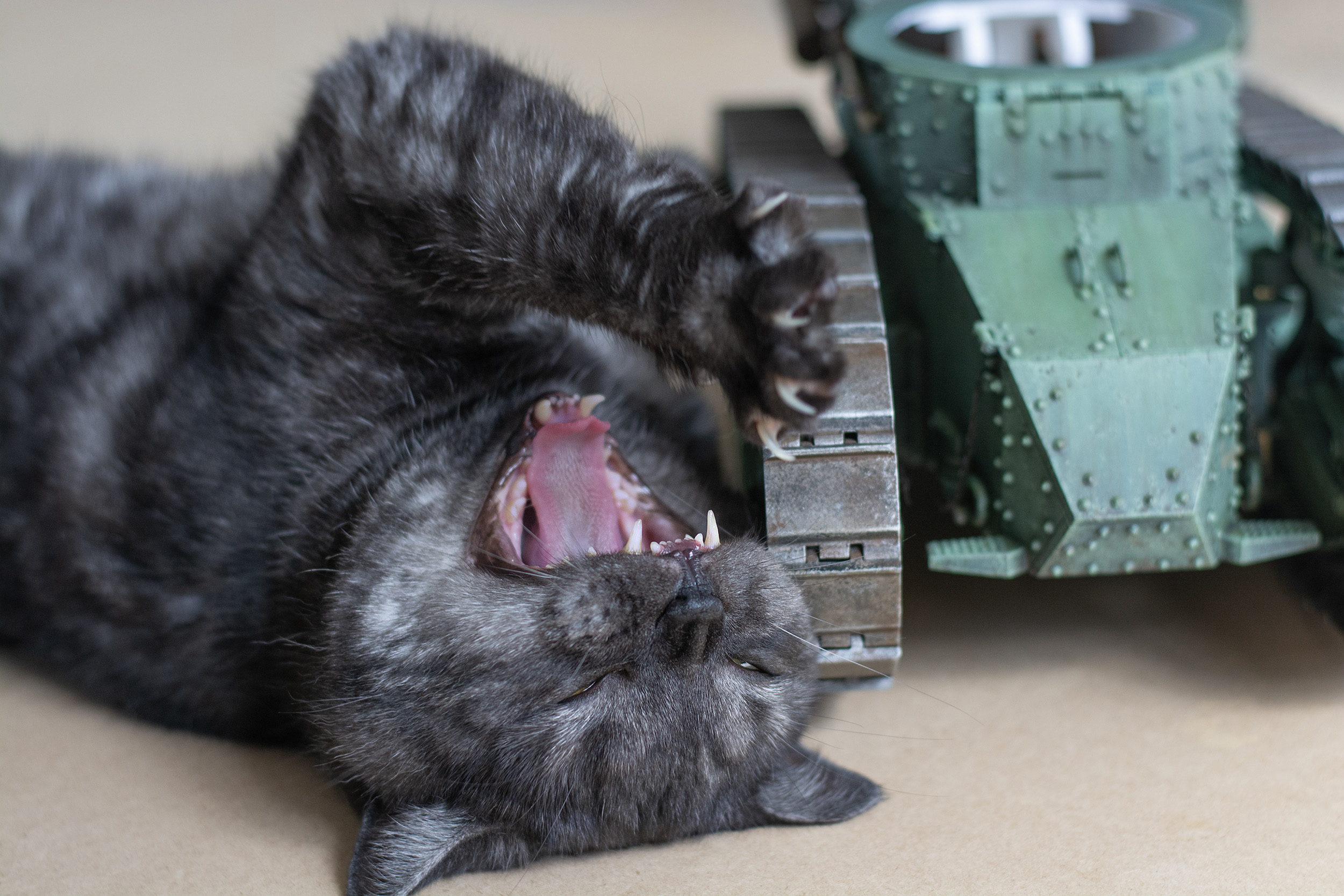 DSC_1790_P copy 2.jpg