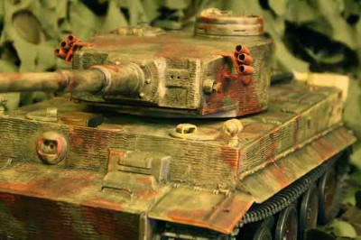 tiger 1 007.JPG