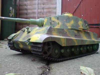 tiger 2.jpg