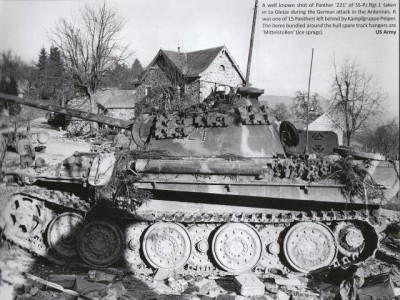 panther g.jpg