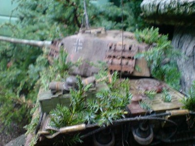 040.JPG
