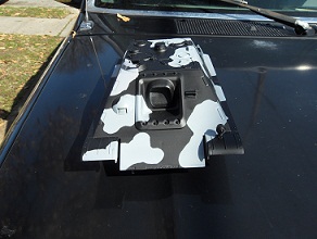 Night Fighter Camo 2