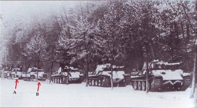 Panthers_Winter3.jpg