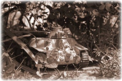 tanks in the sun 00023.JPG