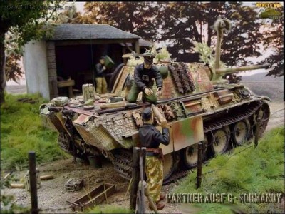 PantherG-001.jpg