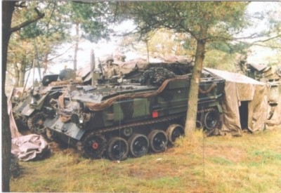Apteryx.jpg