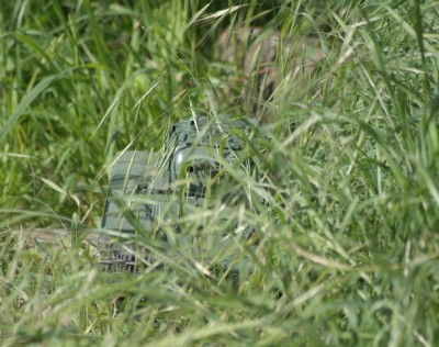 2010_0602KV-1e0014.JPG