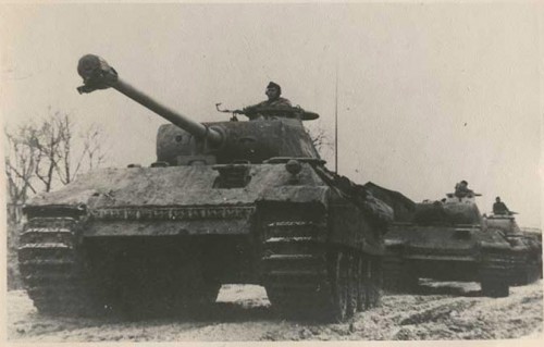 Panthers.jpg