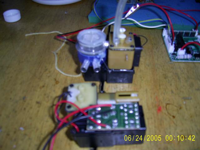 PIC_0028.JPG