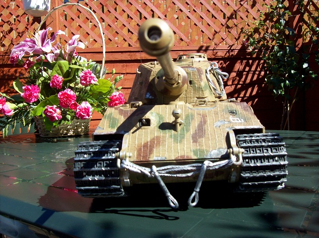 t1.jpg
