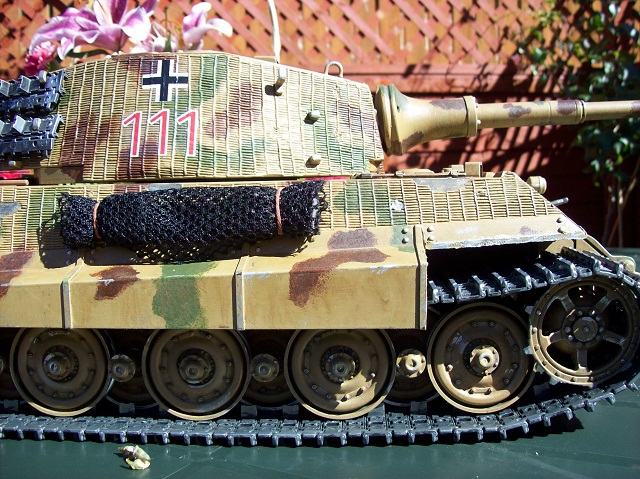 t5.jpg