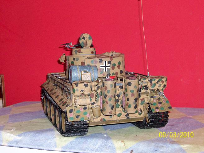 tiger 1 002.JPG