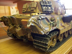 tiger1.jpg