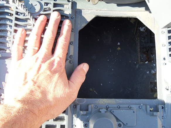 Tiger 001.JPG