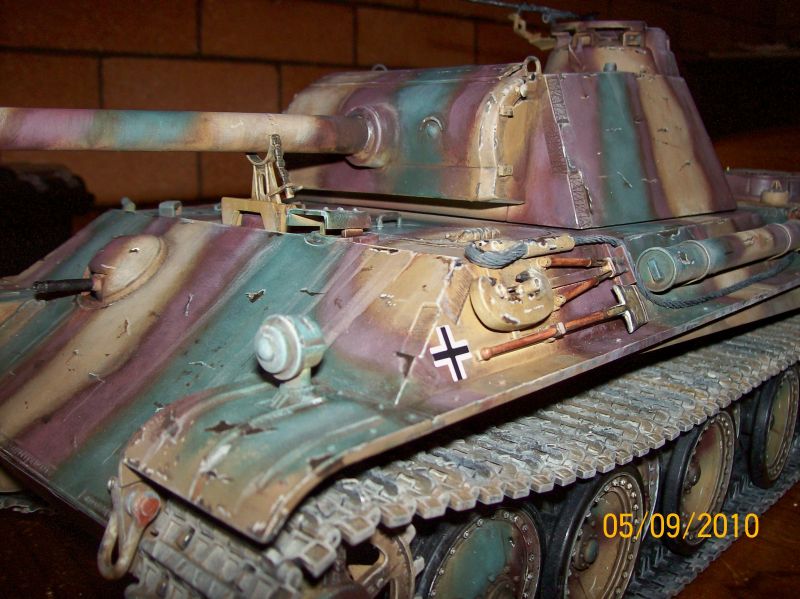 panther g.jpg
