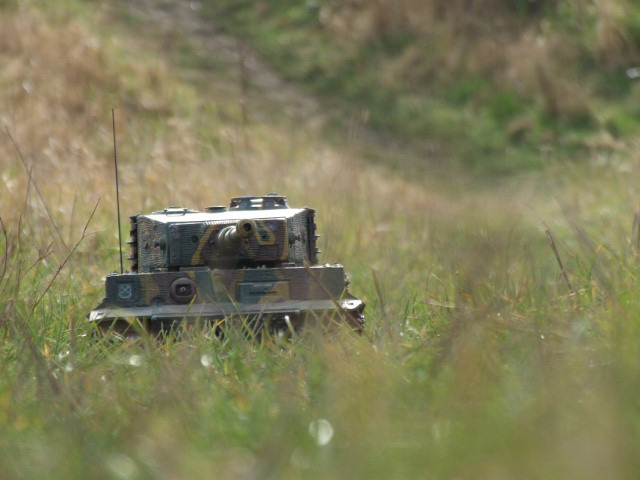 145 great shot.jpg