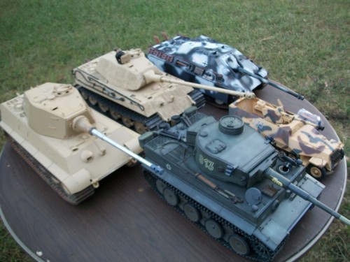 Present day Tiger 16months after painting